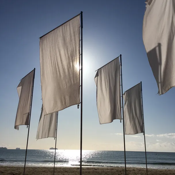 Flags blowing in the wind on a beach