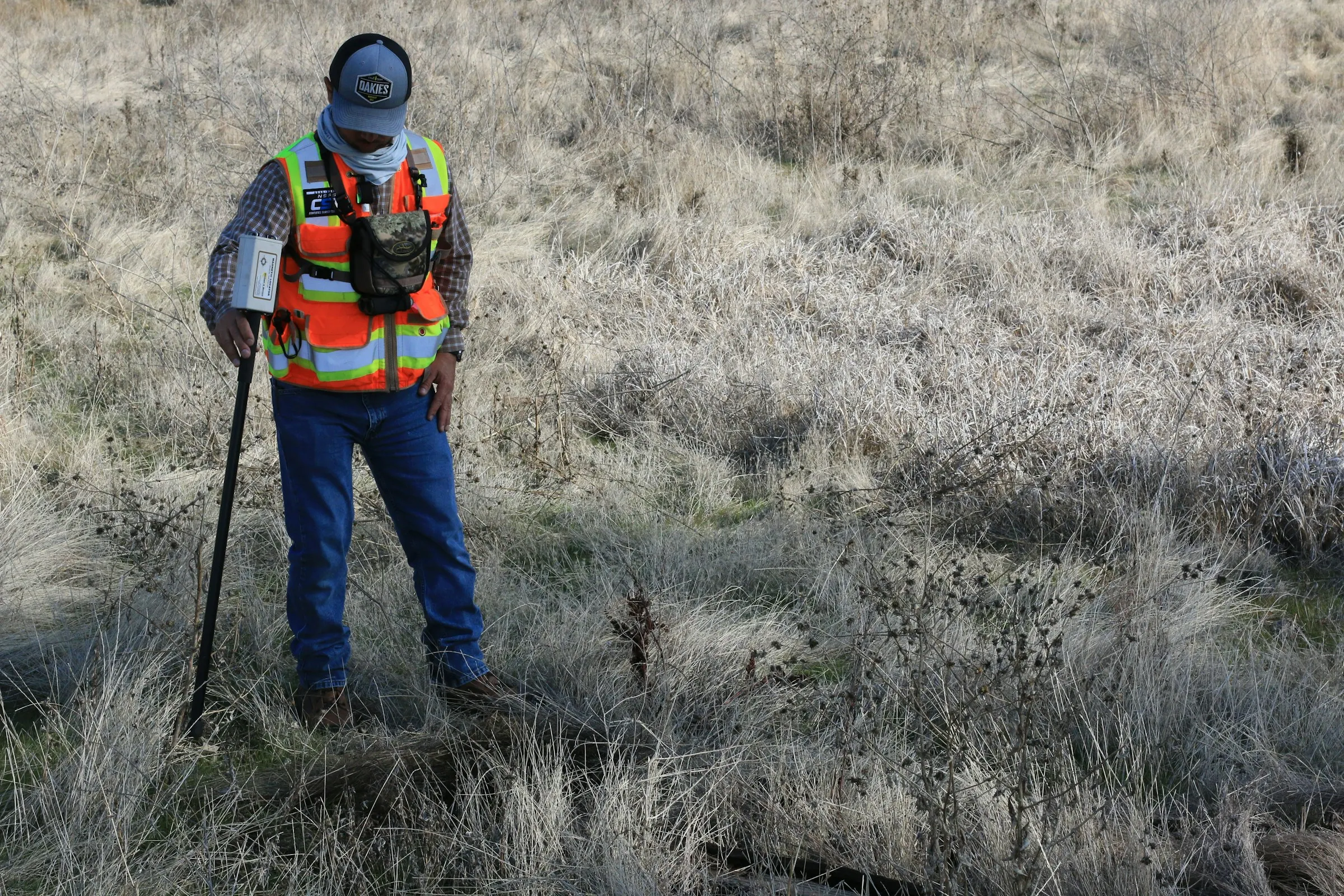 A surveyor searching for metal in a field